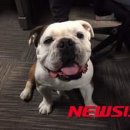 (주)일당 이미지