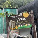 원빈농원 | 서울 동행나눔봉사단 활동후기