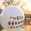 금은