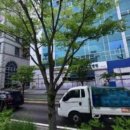 뉴포도나무요양병원 | 전북 전주시 요양병원 뉴포도나무요양병원 실제 방문자 16명 리뷰 수집 완료