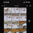 모글리몽 이미지