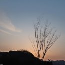 괴산군탄생600주년기념공원 이미지