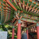 제주애견카페왈 구억점 | 강원도 양양 1박 2일 가족여행 입장료 없고 동해바다도 보이는 사찰 가볼만한곳 소요시간 주차 [낙산사]