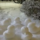 더편한한의원 이미지