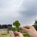 강정동-46 | (재능기부수업) 산전산후 원데이 클래스 출강 스케치(2025.4.5.토)