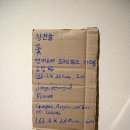 화가와 꽃 이미지