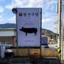 월산식육식당 | 허영만 백반기행 309회 하석주와 함양 월산식육식당 흑돼지 맛집
