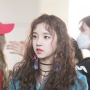 히피히피