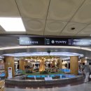 다연하우스 | 대전 타로 거리 폴라리스 방문 후기 | 주차 팁과 지인 추천까지!