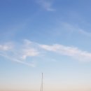 자유하는 이미지