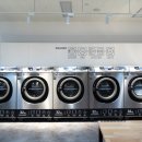 워시나인 이미지