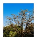 용궁원천탕 이미지