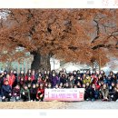 도계여중 이미지