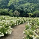 (주)프레이밍 이미지