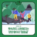 황이리 종합복지회관 | 📢 뼛속까지 시원해지는 양양 피서 명당! 황이리 '얼음굴' 🥶