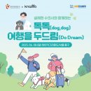 댕댕# 이미지