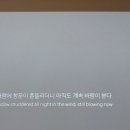 백종관 이미지
