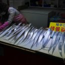 88포리수산