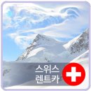 명성렌트카 이미지