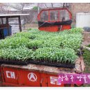 소슬농장 이미지