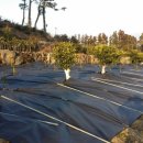 창민2농장 이미지