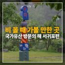 신효동 하귤나무 네이버블로그