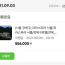 김치수뷰티크리닝 | 파라스파라 서울 내돈내산 팀버 객실 오늘도 불만한가득