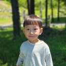 자연생태어린이집 이미지