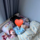 (주)닷투 이미지