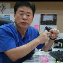 소피아여성의원