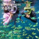 (주)조인라이프 | 보홀 발리카삭 단독같은 조인투어 원클릭 vs 가성비 저렴한 투어레코드