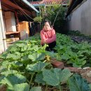 부산이용소 이미지