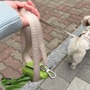 로이카 | Roika 로이카 소형견 H형 여름 하네스 추천 후기