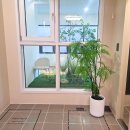 원대성천 이미지