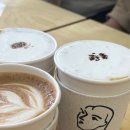 헤이듀드 이미지