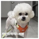 강아지산책 | 산책 필수템 바잇미 강아지 하네스 세트 후기