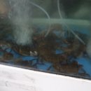 장터맛집 이미지