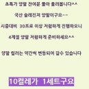 아그들 양말 ( 사이즈 다양) 국산 슬레진져 양말 초특가!!! 10족 만원씩!!!! 이미지