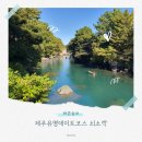 효돈천 | 제주 데이트 코스 쇠소깍 방문 후기 테우 카약