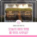 오늘핫템