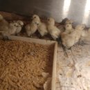 태성2농장 이미지