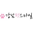 강남펫스타일 이미지