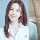 세안안전진단