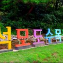 석모도수목원 Daum카페