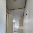 유림-1089 이미지