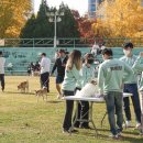 프리테크