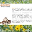 운호마을 이미지