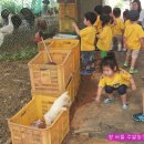 이상은농장 이미지