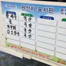 머리나라 | 천안 두정동에서 대하 뿌수기 "천안왕새우나라" 새우머리버터구이 내돈내산 웨이팅 후기