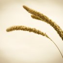 마이미의원 이미지